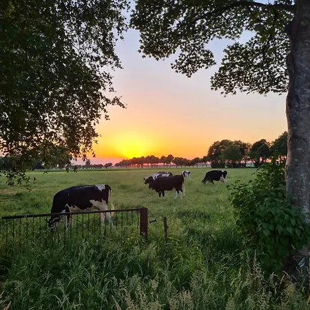 Hiskas Hoff Appartement *