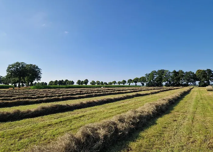 Hiskas Hoff * 라우더펜