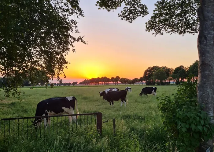 Hiskas Hoff 아파트 *