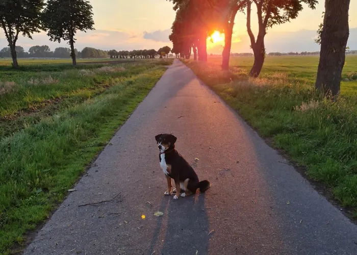 아파트 Hiskas Hoff 라우더펜